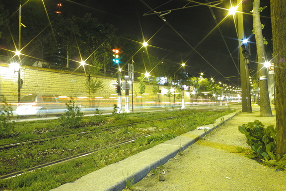 20090805 062050